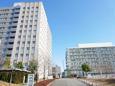 行政書士は役所にいる